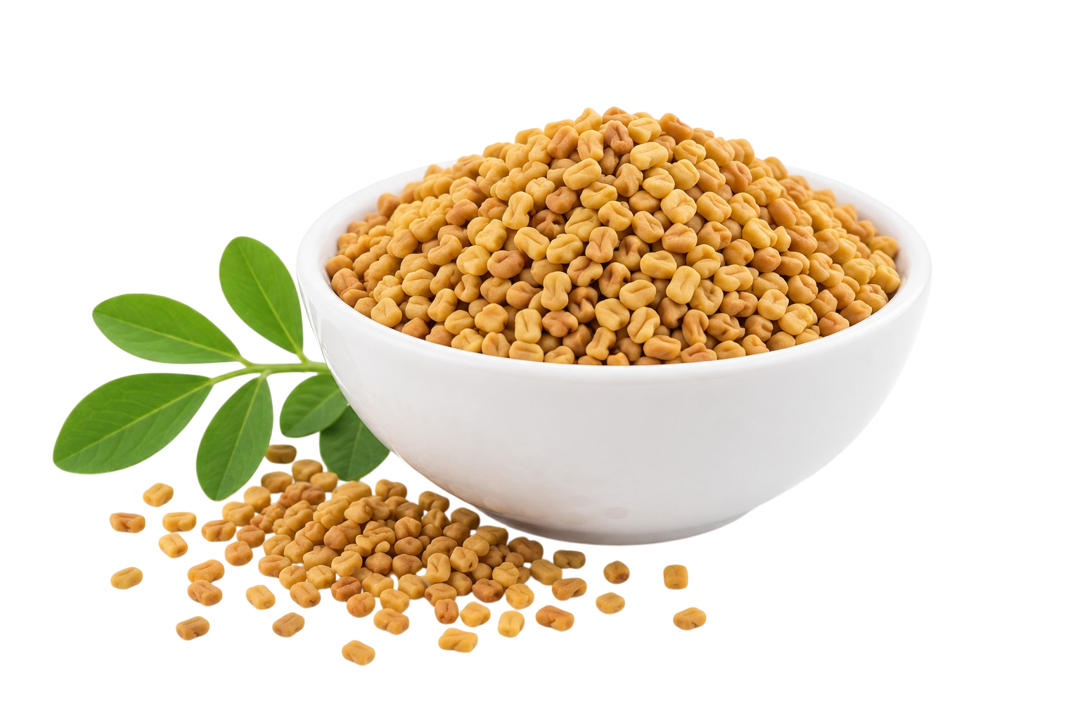 Biji Klabet / Fenugreek