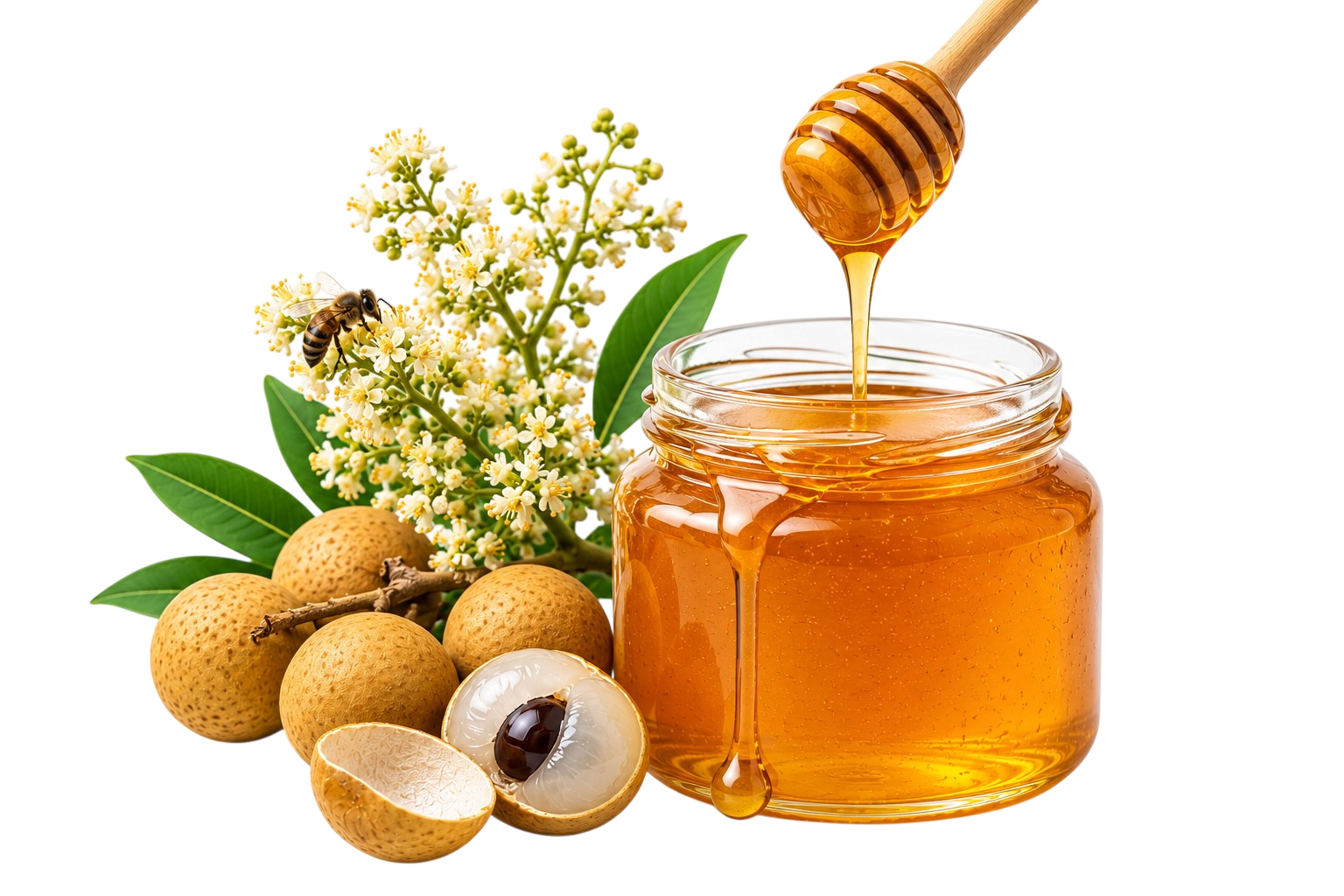 Madu Kelengkeng