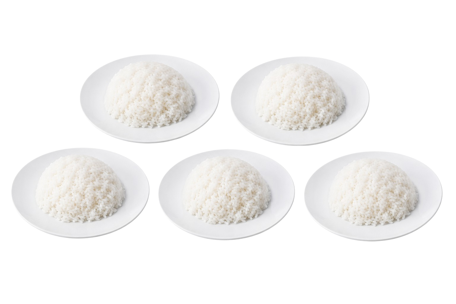5 Piring Nasi